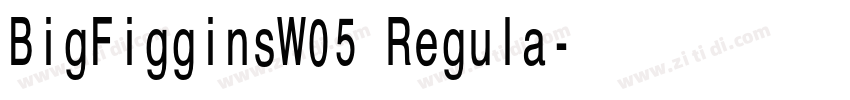 BigFigginsW05 Regula字体转换 BigFigginsW05 Regula字体转换